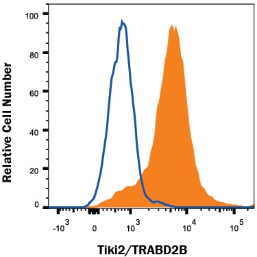 Detection of Tiki2/TRABD2B antibody in HEK293 Human Cell Line Transfected with Human Tiki2/TRABD2B antibody by Flow Cytometry.