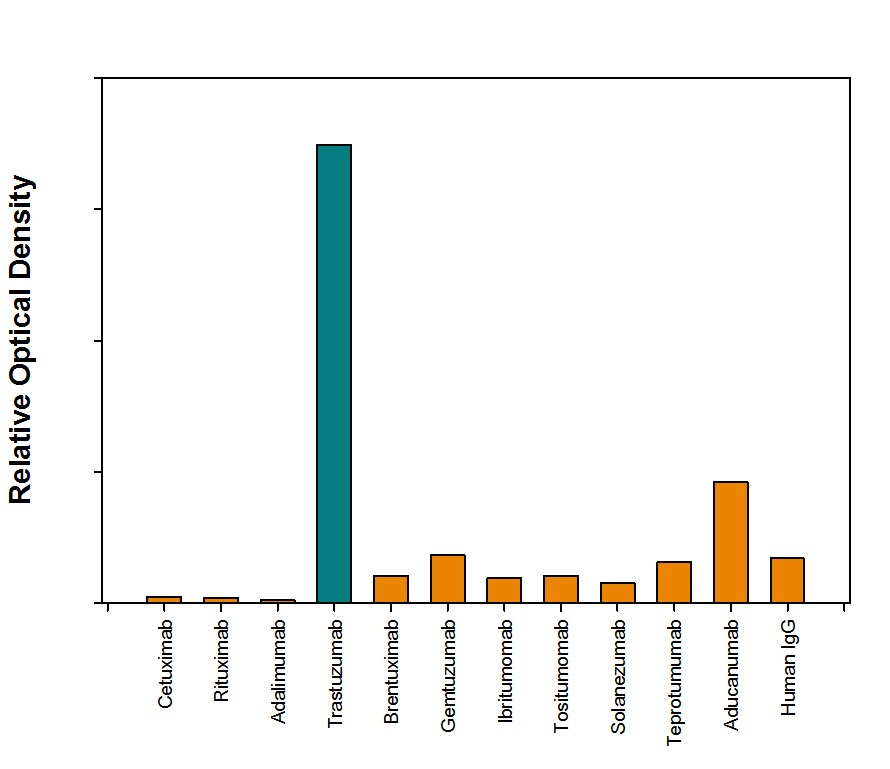 Specificity of Anti-Trastuzumab (Anti-Idiotype) Antibody in Direct Antibody in ELISA.