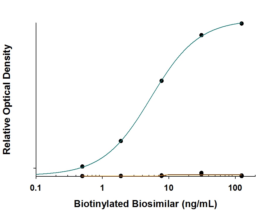 Specificity of Anti-Trastuzumab (Anti-Idiotype) Antibody in Antibody in ELISA Capture Assay.