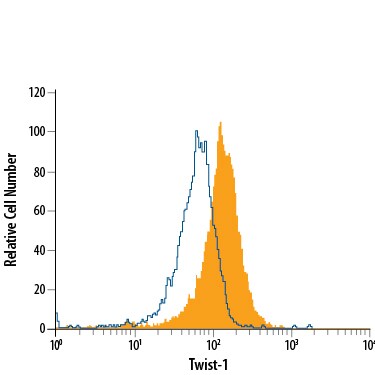 Detection of Twist‑1 antibody in HeLa Human Cell Line antibody by Flow Cytometry.