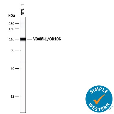 Detection of Mouse VCAM-1/CD106 antibody by Simple WesternTM.