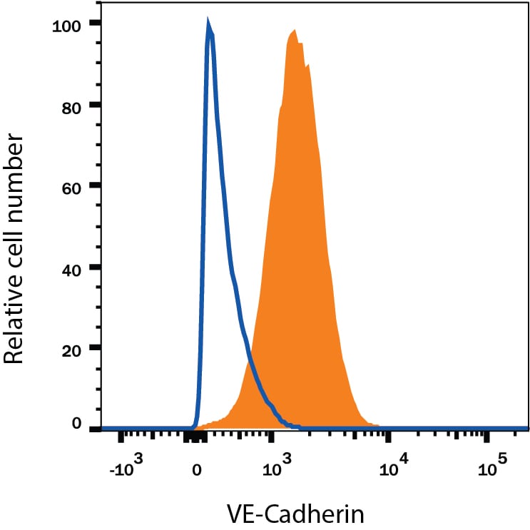 Detection of VE-Cadherin antibody in bEnd.3 Mouse Cell Line antibody by Flow Cytometry.