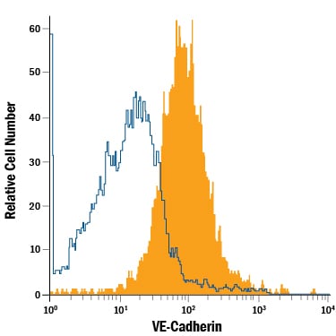 Detection of VE-Cadherin antibody in HUVEC Human Cells antibody by Flow Cytometry.