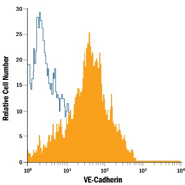 Detection of VE-Cadherin antibody in HUVEC Human Cells antibody by Flow Cytometry.