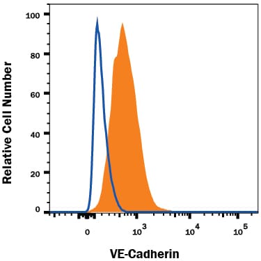 Detection of VE-Cadherin antibody in bEnd.3 Mouse Cell Line antibody by Flow Cytometry.
