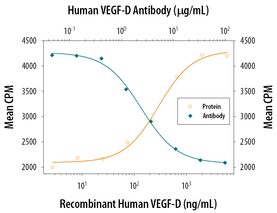 Cell Proliferation Induced by VEGF‑D and Neutralization by Human VEGF‑D Antibody.