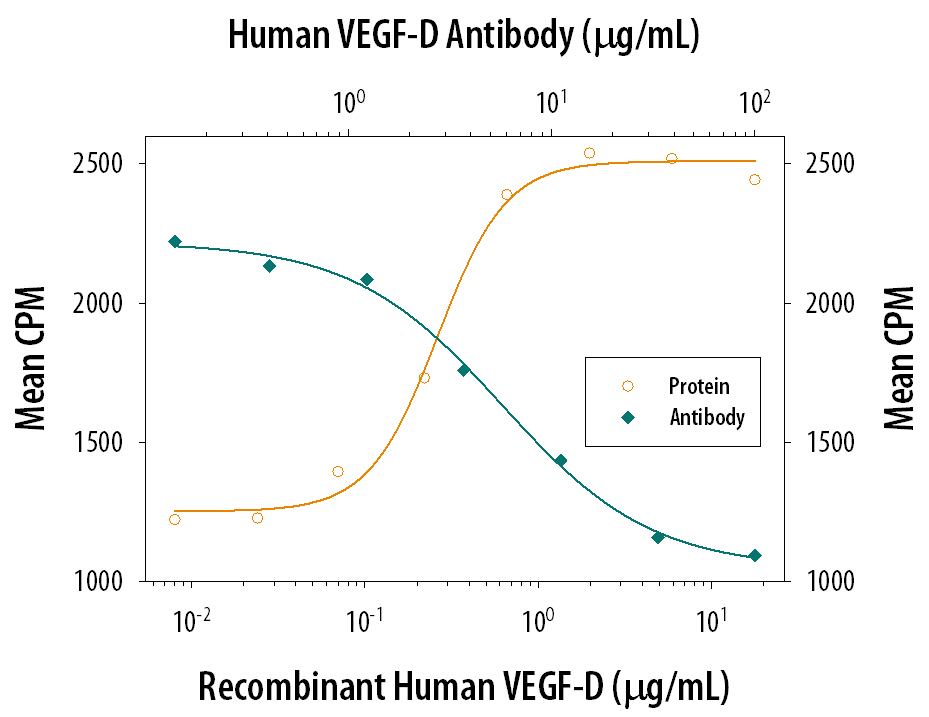 Cell Proliferation Induced by VEGF‑D and Neutralization by Human VEGF‑D Antibody.