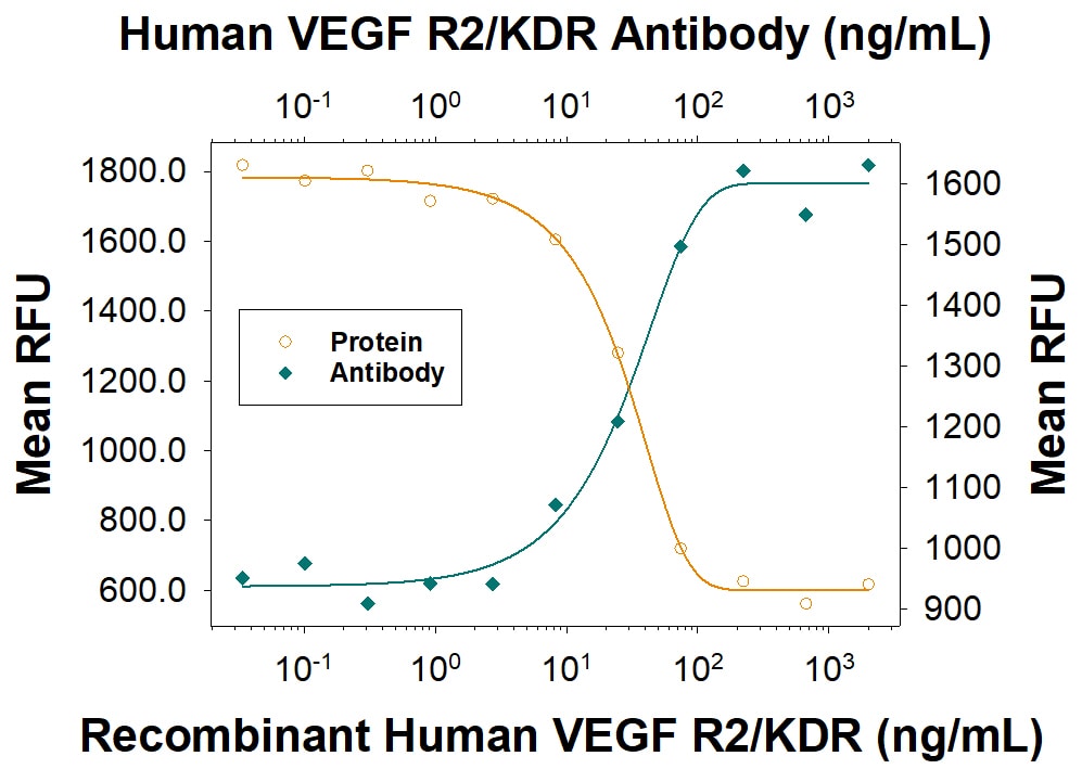 VEGFR2/KDR Inhibition of VEGF-dependent Cell Proliferation and Neutralization by Human VEGFR2/KDR Antibody.
