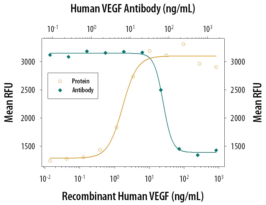 Cell Proliferation Induced by VEGF165and Neutralization by Human VEGF Antibody.