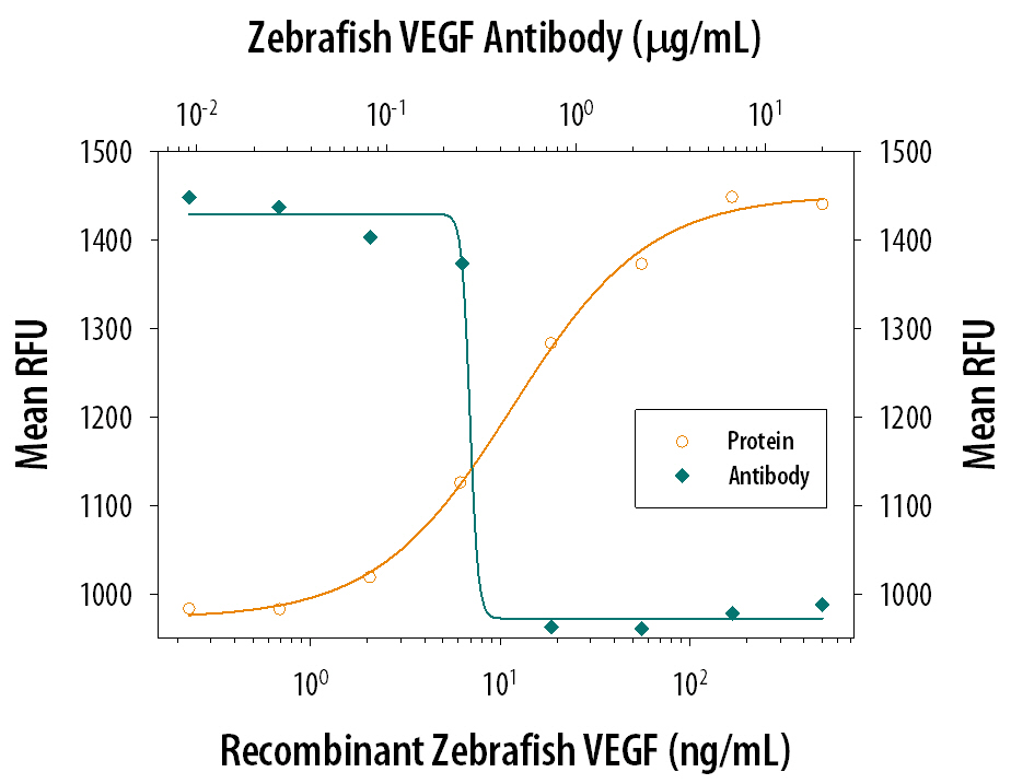 Cell Proliferation Induced by VEGF165and Neutralization by Zebrafish VEGF Antibody.