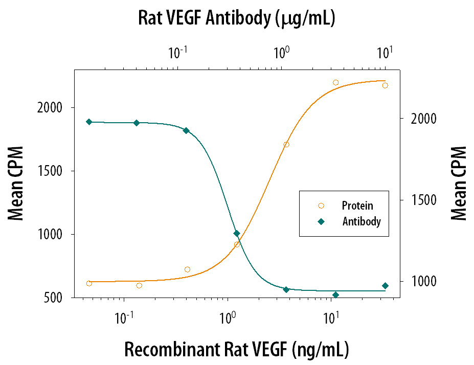 Cell Proliferation Induced by VEGF164and Neutralization by Rat VEGF Antibody.