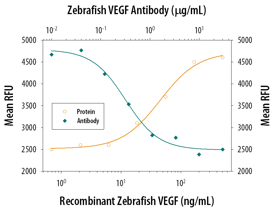 Cell Proliferation Induced by VEGF165and Neutralization by Zebrafish VEGF Antibody.