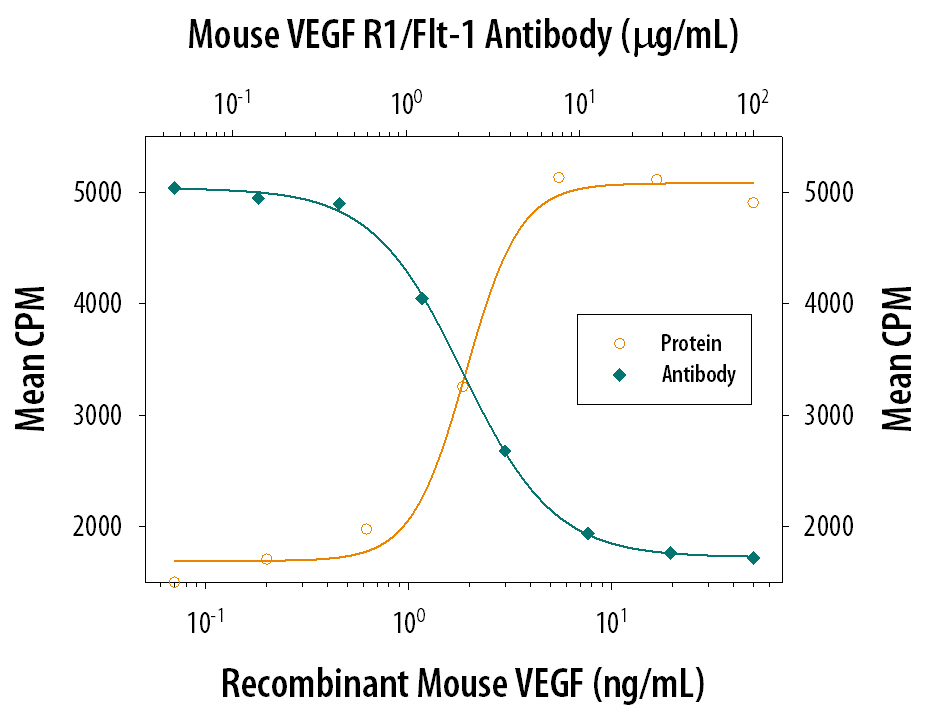 Cell Proliferation Induced by VEGF164and Neutralization by Mouse VEGFR1/Flt‑1 Antibody.