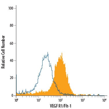 Detection of VEGF R1/Flt-1 antibody in bEnd.3 Mouse Cell Line antibody by Flow Cytometry.