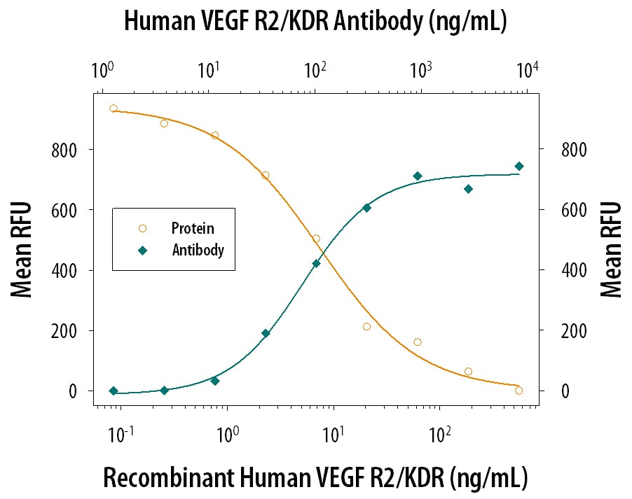VEGFR2/KDR/Flk‑1 Inhibi-tion of VEGF-dependent Cell Proliferation and Neutral-ization by Human VEGFR2/KDR/Flk‑1 Anti-body.