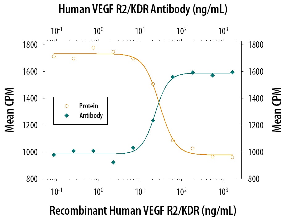 VEGFR2/KDR Inhibition of VEGF-dependent Cell Proliferation and Neutralization by Human VEGFR2/KDR Antibody.