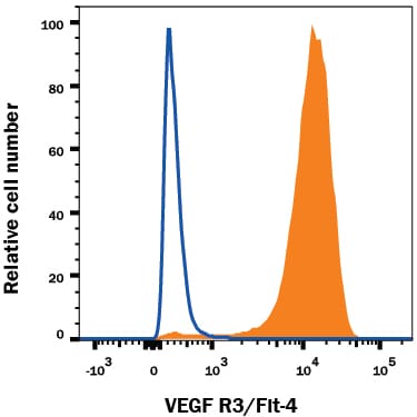Detection of VEGFR3/Flt-4 antibody in bEnd.3 Mouse Cell Line antibody by Flow Cytometry.