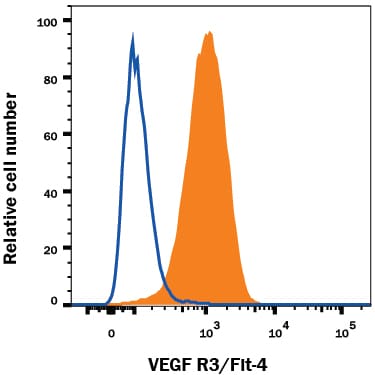 Detection of VEGF R3/Flt-4 antibody in bEnd.3 Mouse Cell Line antibody by Flow Cytometry.