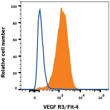 Detection of VEGF R3/Flt-4 antibody in bEnd.3 Mouse Cell Line antibody by Flow Cytometry.