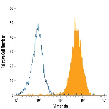 Detection of Vimentin antibody in A172 Human Cell Line antibody by Flow Cytometry.