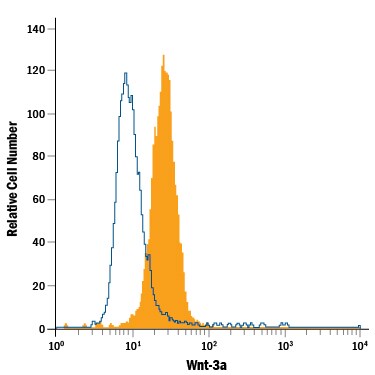 Detection of Wnt-3a antibody in D3 Mouse Cell Line antibody by Flow Cytometry.