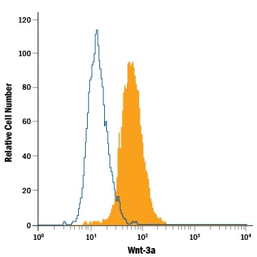 Detection of Wnt-3a antibody in BG01V Human Cells antibody by Flow Cytometry.