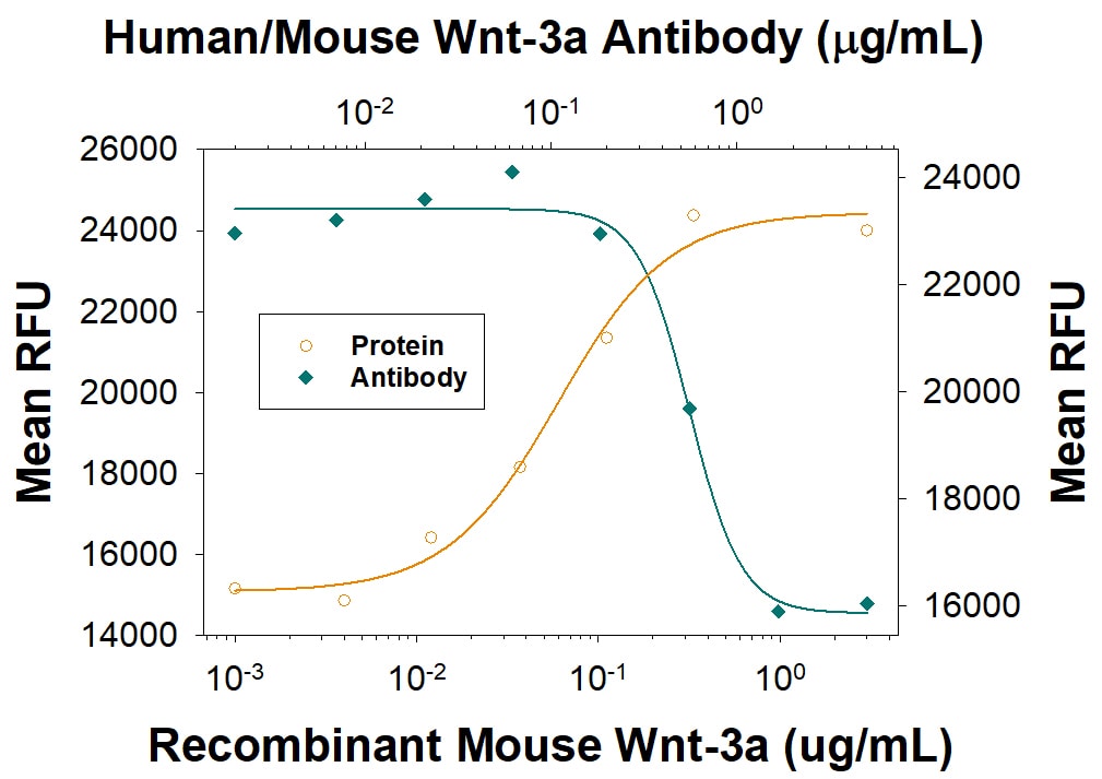 Topflash Reporter Activity Induced by Wnt-3a and Neutralization by Human/Mouse Wnt-3a Antibody.