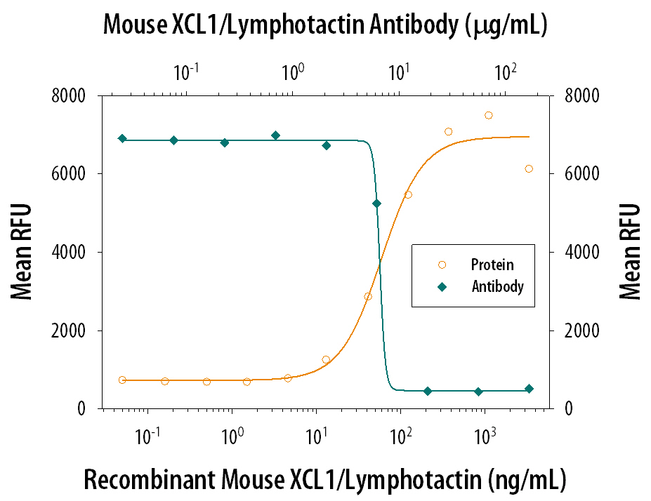 Chemotaxis Induced by XCL1/Lymphotactin and Neutralization by Mouse XCL1/Lymphotactin Antibody.