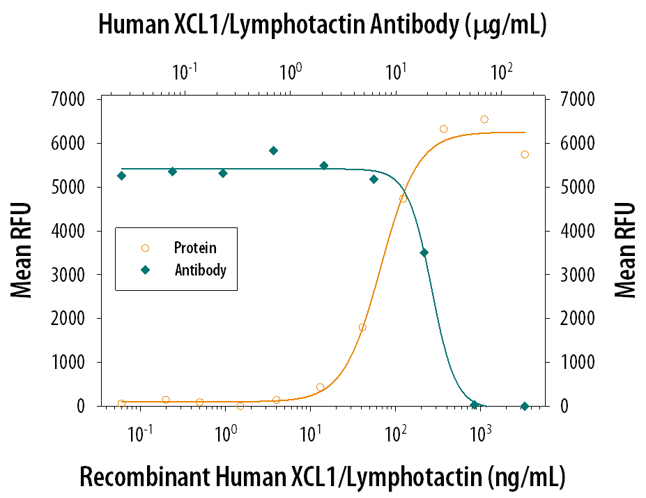 Chemotaxis Induced by XCL1/Lymphotactin and Neutralization by Human XCL1/Lymphotactin Antibody.