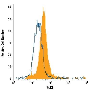 Detection of XCR1 antibody in Human PBMCs antibody by Flow Cytometry.