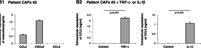 Detection of Human CXCL8/IL-8 by ELISA