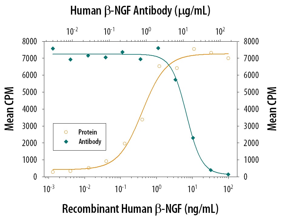 Cell Proliferation Induced by  beta ‑NGF and Neutralization by Human  beta ‑NGF Antibody.