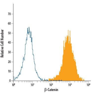 Detection of  beta -Catenin antibody in HeLa Human Cell Line antibody by Flow Cytometry.