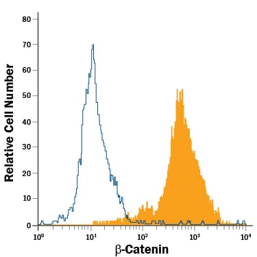 Detection of  beta -Catenin antibody in HeLa Human Cell Line antibody by Flow Cytometry.