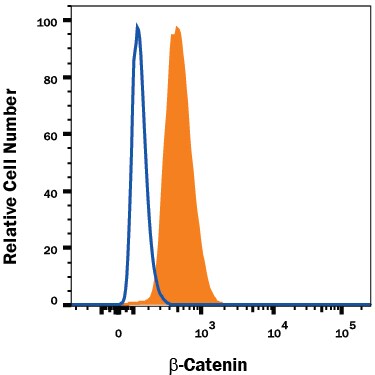 Detection of  beta -Catenin antibody in HeLa Human Cell Line antibody by Flow Cytometry.