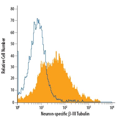 Detection of  beta -III Tubulin antibody in Rat Cortical Stem Cells antibody by Flow Cytometry.