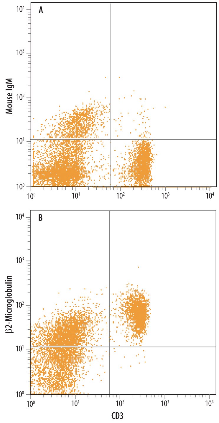 Detection of Rat  beta 2-Microglobulin antibody in Rat Splenocytes.