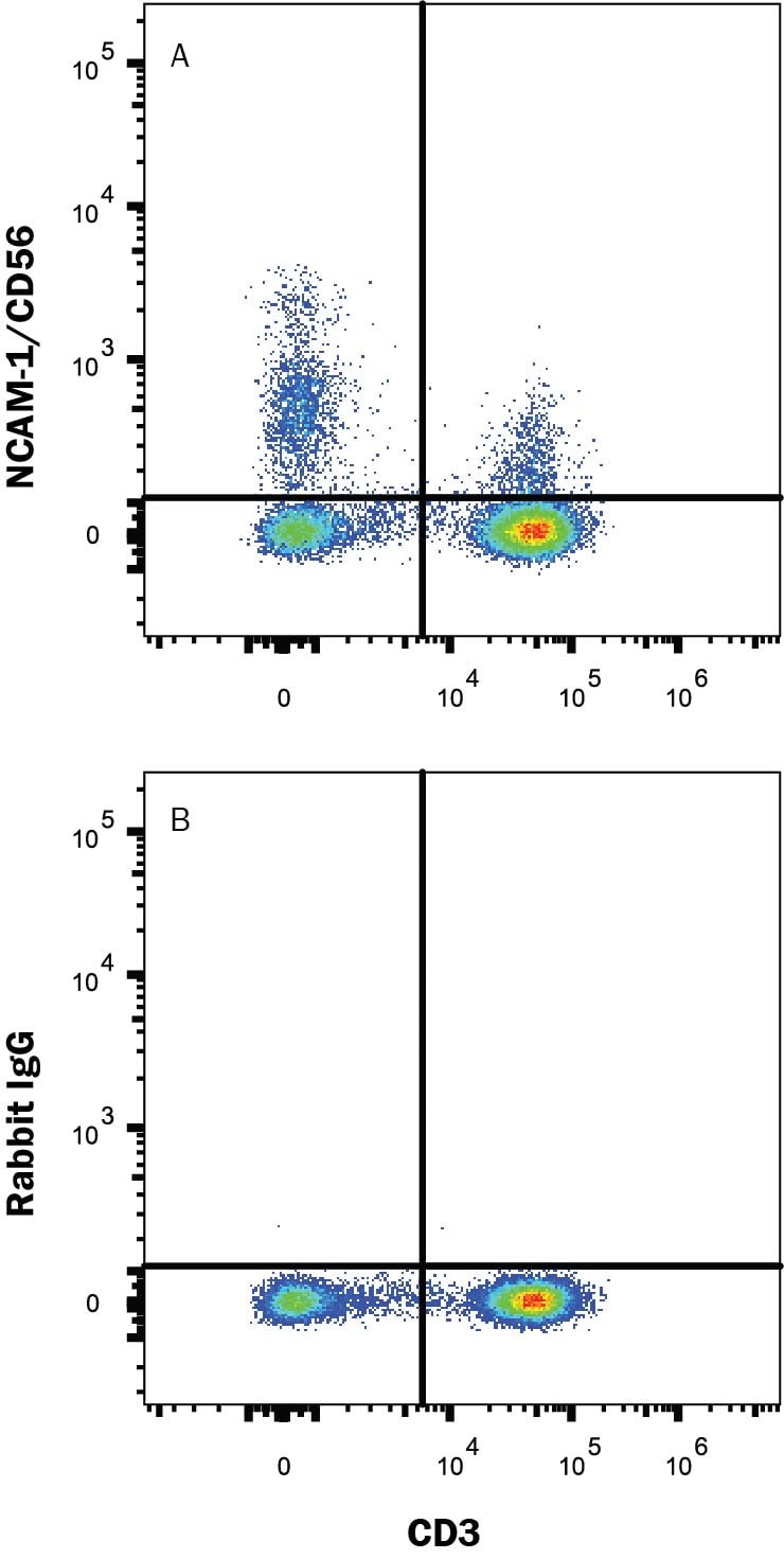 Detection of NCAM-1/CD56 antibody in Human Peripheral Blood antibody by Flow Cytometry.