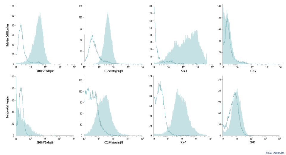 Verification of Mouse Mesenchymal Stem/Stromal Cell Identity by Analysis of Mesenchymal Stem Cell Marker Expression.