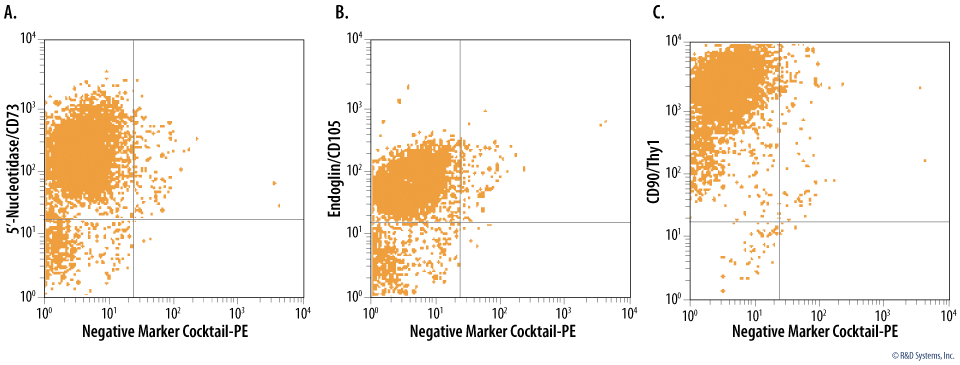 Human Bone-Marrow Derived Cells Fulfill the ISCT's Definition of Human MSCs Based on Marker Expression.