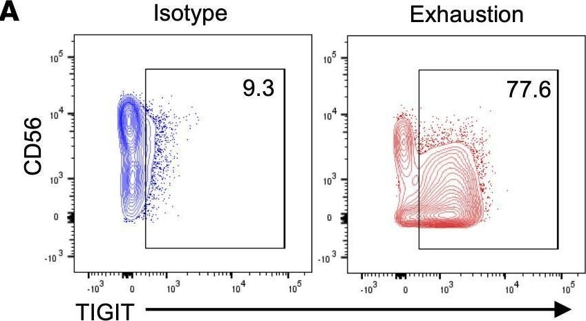 Detection of IgG2B by Flow Cytometry