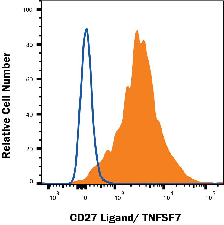 Detection of CD27Ligand/TNFSF7 antibody in HEK293 Human Cell Line Transfected with Human CD27 Ligand/TNFSF7 antibody by Flow Cytometry.