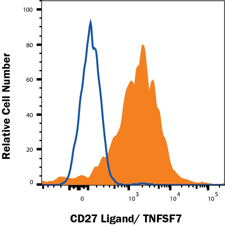 Detection of CD27Ligand/TNFSF7 antibody in HEK293 Human Cell Line Transfected with Human CD27 Ligand/TNFSF7 antibody by Flow Cytometry.