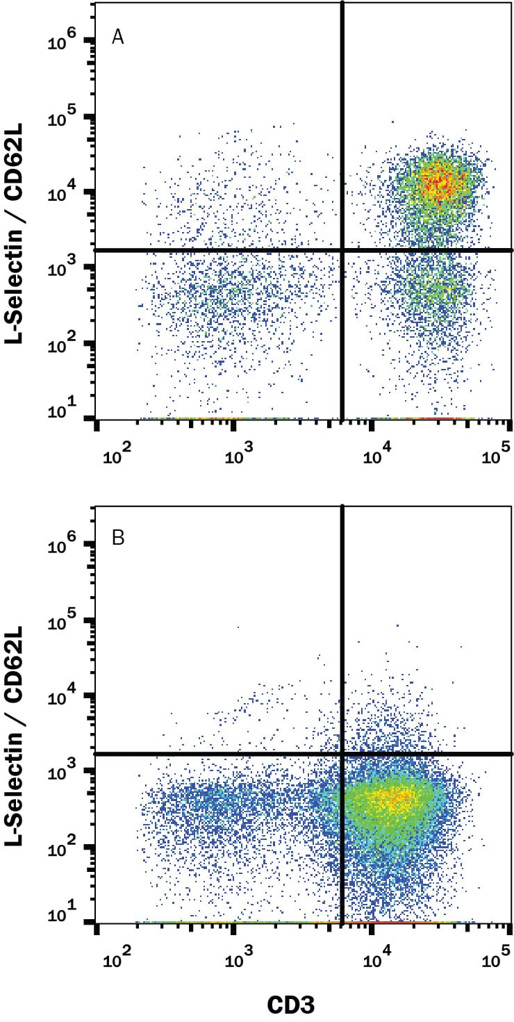 Detection of L-Selectin/CD62 Human PBMC antibody by Flow Cytometry.