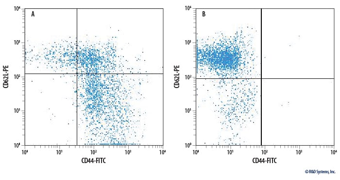 Enrichment of Naïve CD4+ T Cells from Mouse Splenocytes.