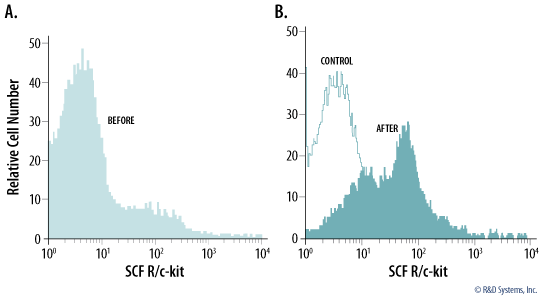 Enrichment of SCF R/c-kit in Bone Marrow Lineage-negative Cells.