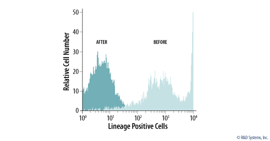 Depletion of Lineage-committed Hematopoietic Cells.