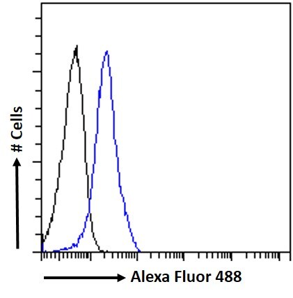 Semaphorin 3E Antibody