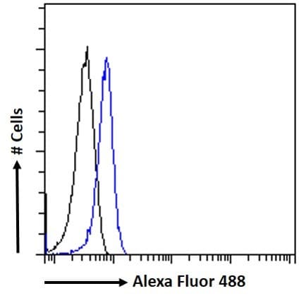 STAM2 Antibody