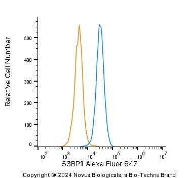 53BP1 Antibody - BSA Free